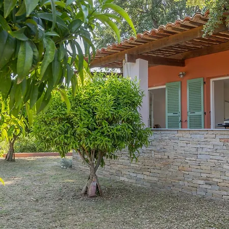 La Ty Kaz Cocon Entre Maquis Et Piscine En Costa Holiday home